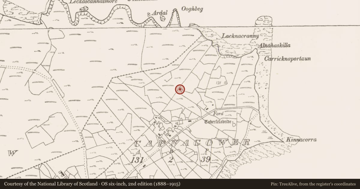 Ordnance Survey six-inch map, 2nd edition (1888–1915) covering the location of Fulacht fia, Capnagower, County Mayo, with a pin at the register's coordinates