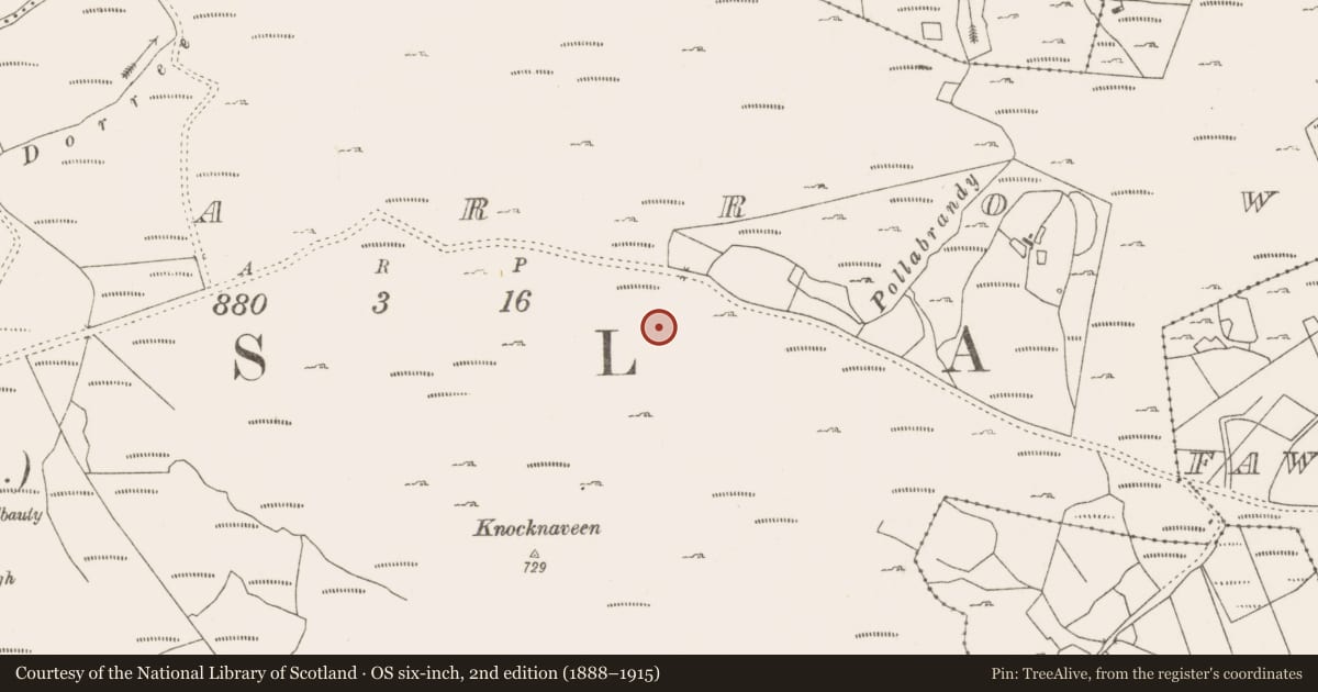 Ordnance Survey six-inch map, 2nd edition (1888–1915) covering the location of Fulacht fia, Lecarrow, County Mayo, with a pin at the register's coordinates