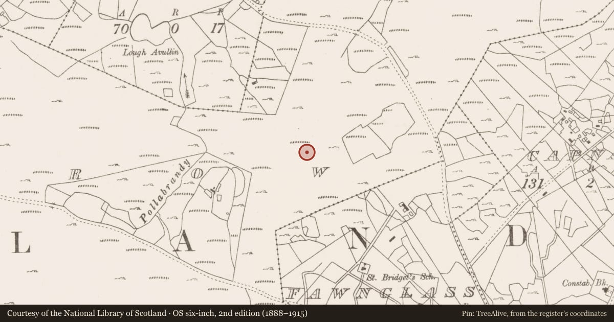 Ordnance Survey six-inch map, 2nd edition (1888–1915) covering the location of Enclosure, Lecarrow, County Mayo, with a pin at the register's coordinates