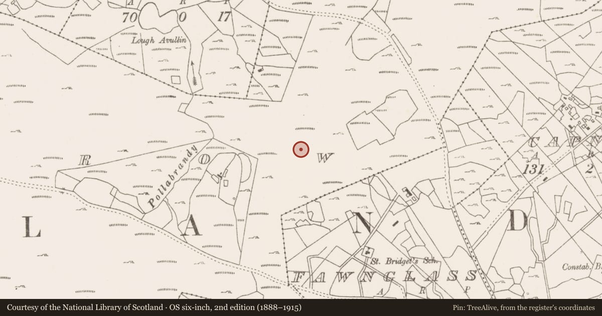 Ordnance Survey six-inch map, 2nd edition (1888–1915) covering the location of Enclosure, Lecarrow, County Mayo, with a pin at the register's coordinates