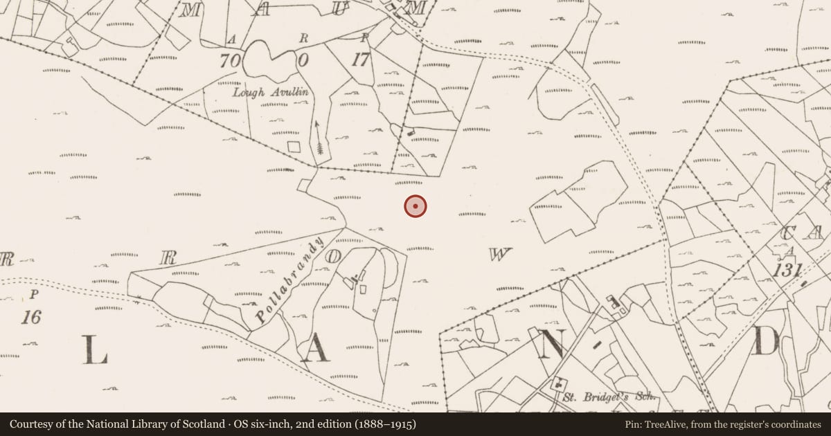 Ordnance Survey six-inch map, 2nd edition (1888–1915) covering the location of Enclosure, Lecarrow, County Mayo, with a pin at the register's coordinates