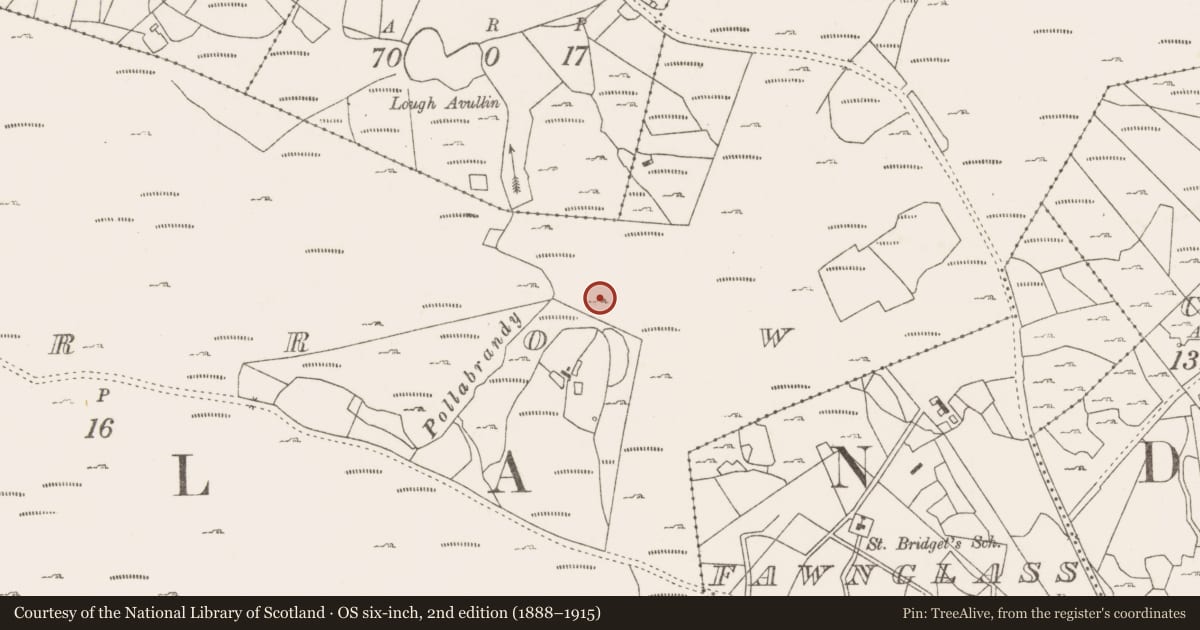Ordnance Survey six-inch map, 2nd edition (1888–1915) covering the location of Enclosure, Lecarrow, County Mayo, with a pin at the register's coordinates