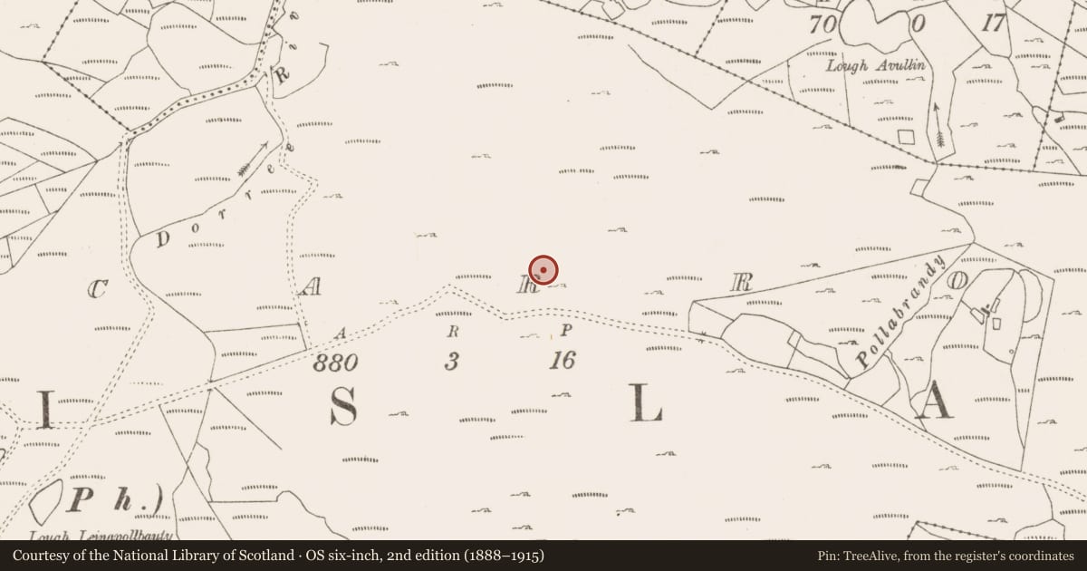 Ordnance Survey six-inch map, 2nd edition (1888–1915) covering the location of Hut site, Lecarrow, County Mayo, with a pin at the register's coordinates