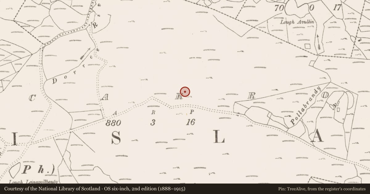 Ordnance Survey six-inch map, 2nd edition (1888–1915) covering the location of Field boundary, Lecarrow, County Mayo, with a pin at the register's coordinates