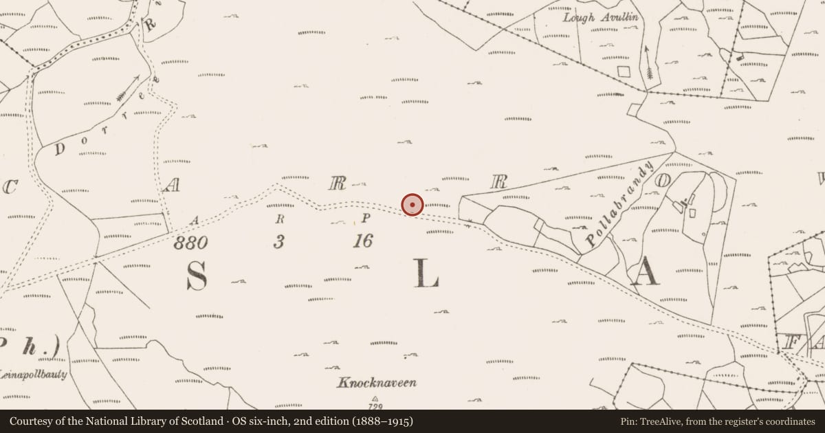 Ordnance Survey six-inch map, 2nd edition (1888–1915) covering the location of House - indeterminate date, Lecarrow, County Mayo, with a pin at the register's coordinates