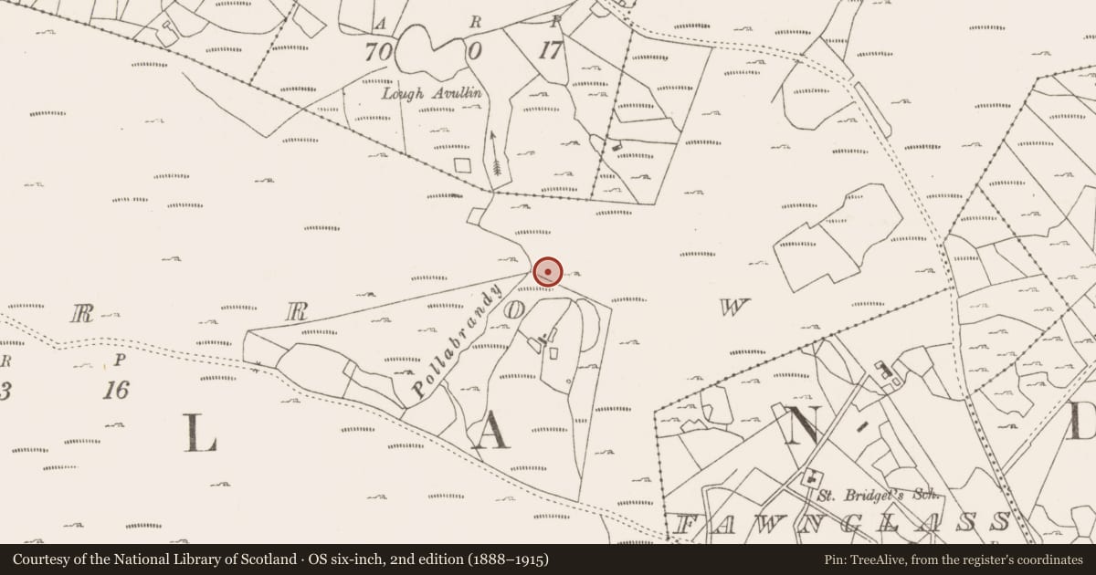 Ordnance Survey six-inch map, 2nd edition (1888–1915) covering the location of Hut site, Lecarrow, County Mayo, with a pin at the register's coordinates