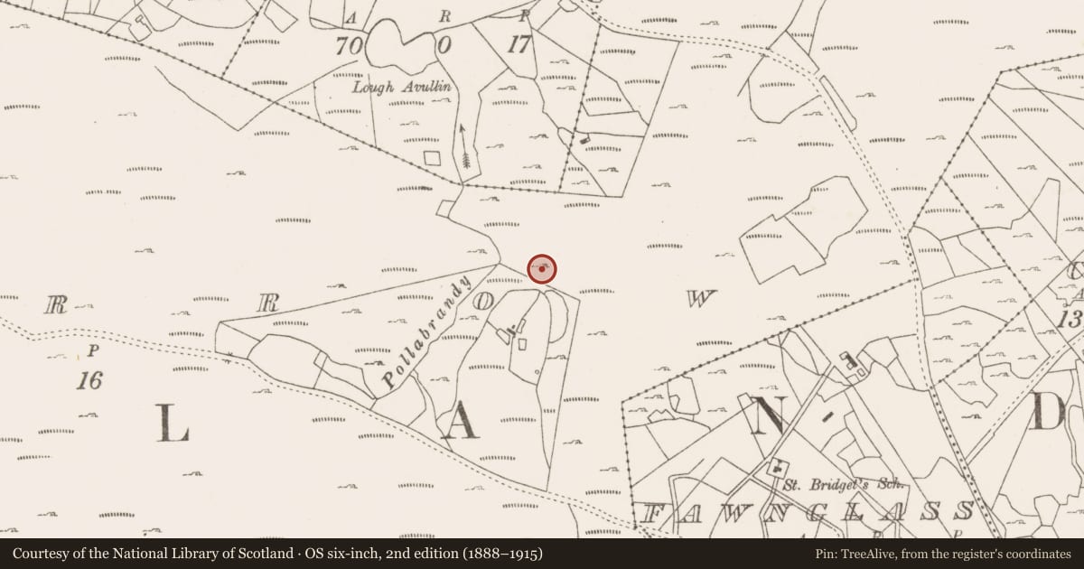 Ordnance Survey six-inch map, 2nd edition (1888–1915) covering the location of Hut site, Lecarrow, County Mayo, with a pin at the register's coordinates