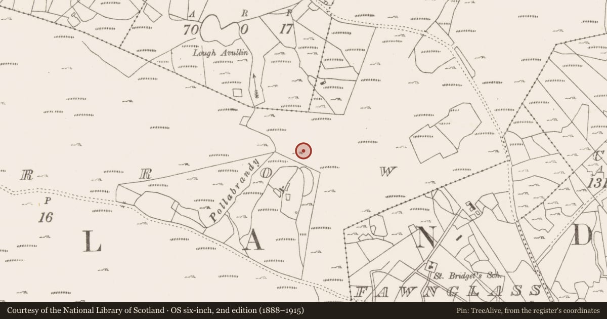 Ordnance Survey six-inch map, 2nd edition (1888–1915) covering the location of Hut site, Lecarrow, County Mayo, with a pin at the register's coordinates
