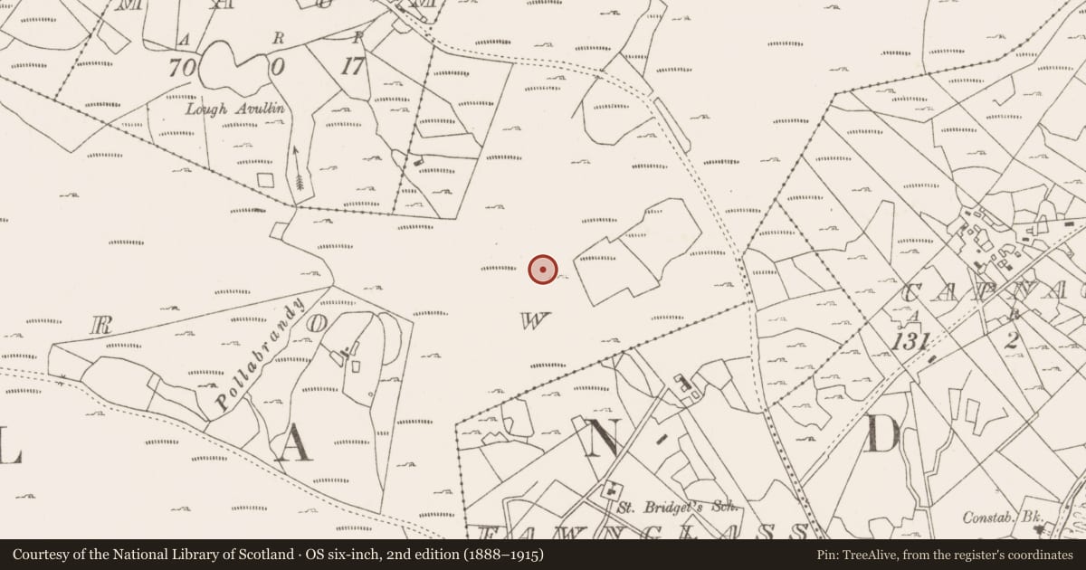 Ordnance Survey six-inch map, 2nd edition (1888–1915) covering the location of House - indeterminate date, Lecarrow, County Mayo, with a pin at the register's coordinates