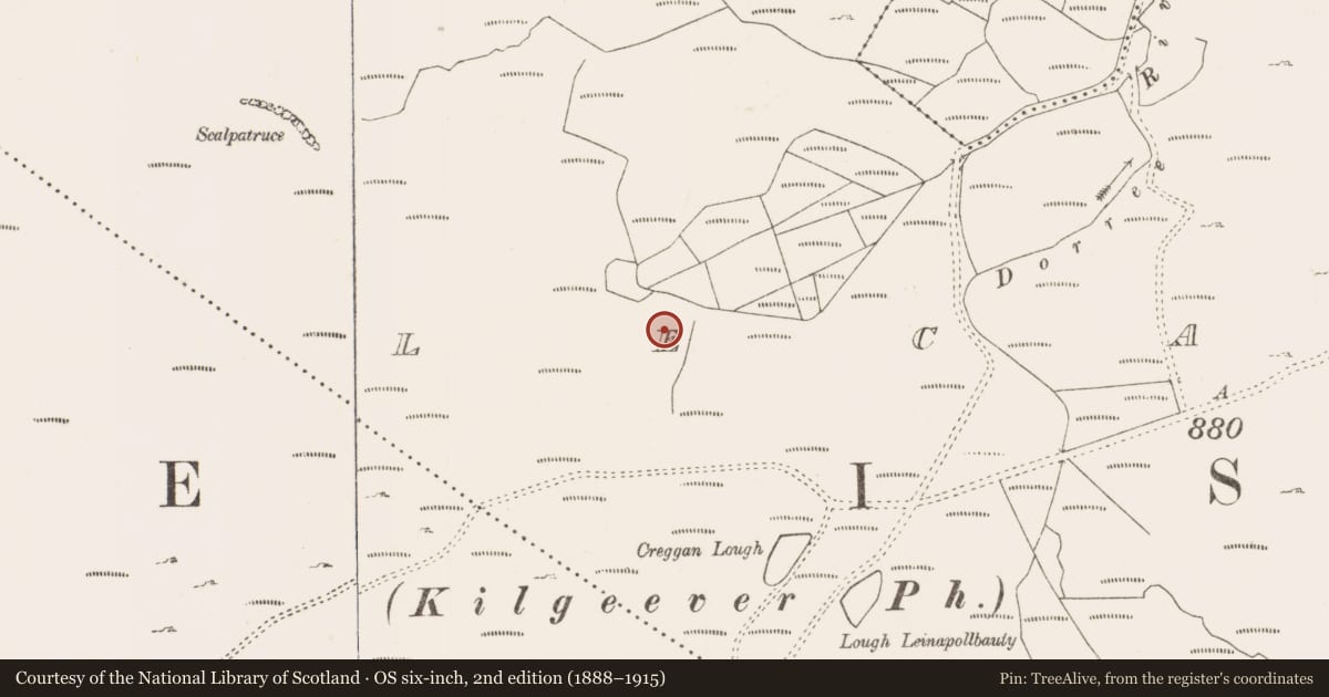 Ordnance Survey six-inch map, 2nd edition (1888–1915) covering the location of Mound, Lecarrow, County Mayo, with a pin at the register's coordinates