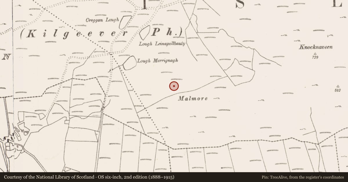Ordnance Survey six-inch map, 2nd edition (1888–1915) covering the location of Field boundary, Lecarrow, County Mayo, with a pin at the register's coordinates