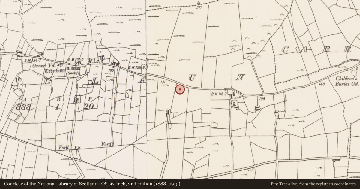 Ordnance Survey six-inch map, 2nd edition (1888–1915) covering the location of Stone row, Askillaun, County Mayo, with a pin at the register's coordinates