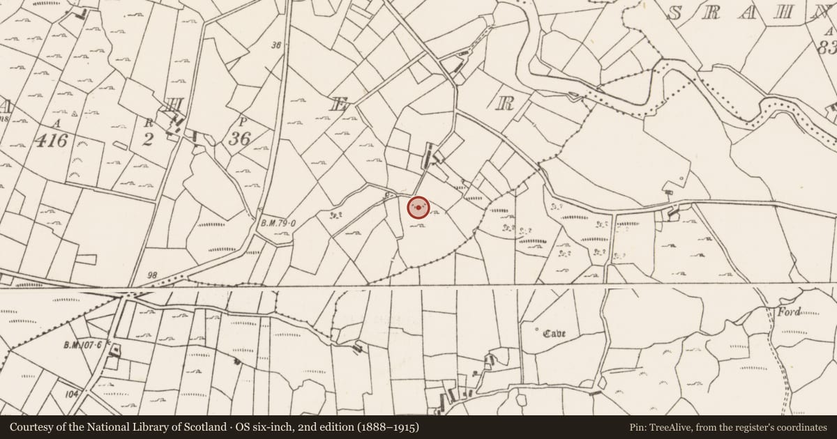 Ordnance Survey six-inch map, 2nd edition (1888–1915) covering the location of Ringfort - rath, Caher, County Mayo, with a pin at the register's coordinates