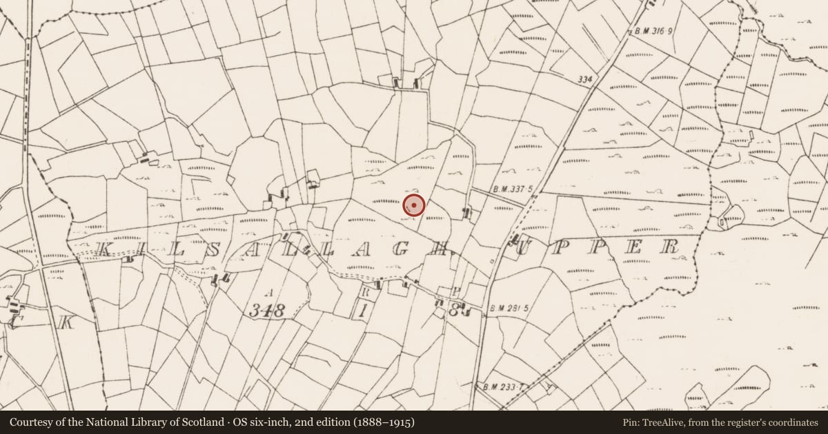 Ordnance Survey six-inch map, 2nd edition (1888–1915) covering the location of Ringfort - cashel, Kilsallagh Upper, County Mayo, with a pin at the register's coordinates