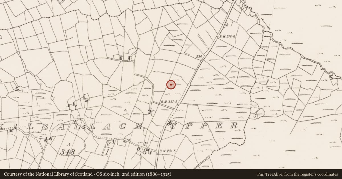 Ordnance Survey six-inch map, 2nd edition (1888–1915) covering the location of Enclosure, Kilsallagh Upper, County Mayo, with a pin at the register's coordinates