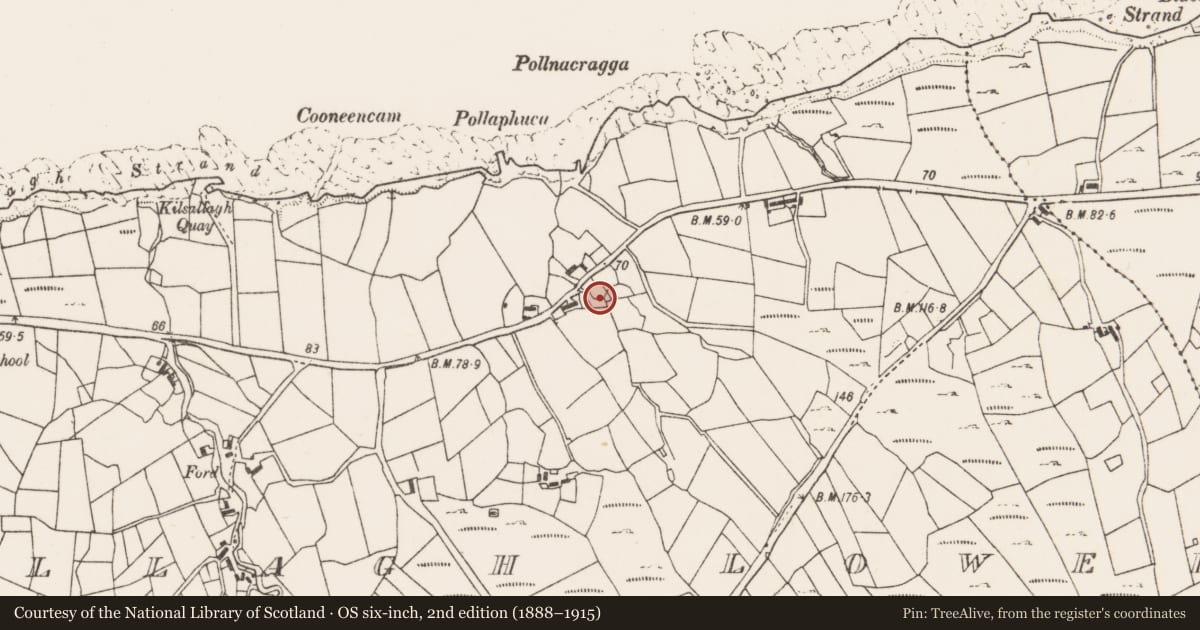 Ordnance Survey six-inch map, 2nd edition (1888–1915) covering the location of Enclosure, Kilsallagh Lower, County Mayo, with a pin at the register's coordinates