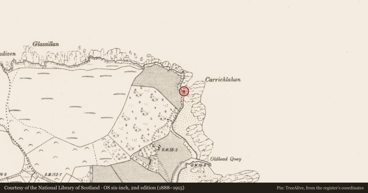 Ordnance Survey six-inch map, 2nd edition (1888–1915) covering the location of Midden, Oldhead, County Mayo, with a pin at the register's coordinates