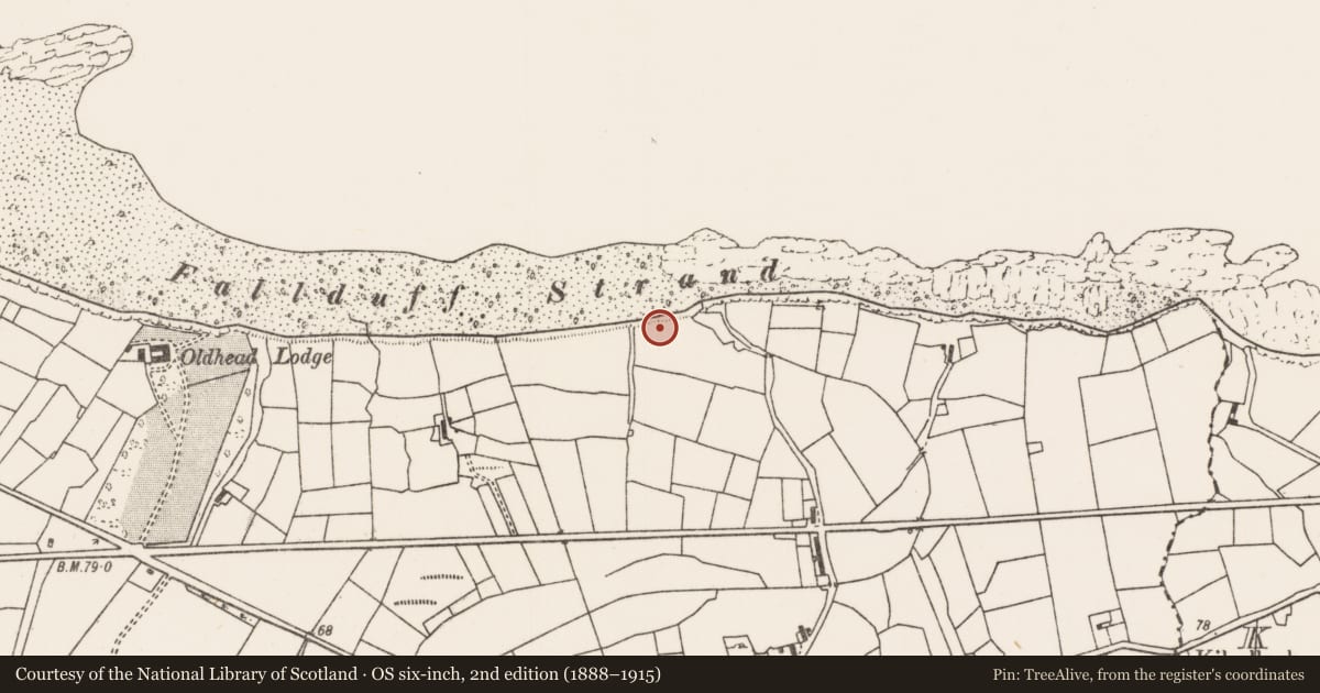 Ordnance Survey six-inch map, 2nd edition (1888–1915) covering the location of Midden, Fallduff, County Mayo, with a pin at the register's coordinates