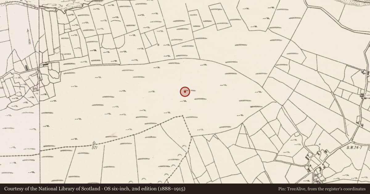 Ordnance Survey six-inch map, 2nd edition (1888–1915) covering the location of Field boundary, Carrowmore (Murrisk By., Kilgeever Par.), County Mayo, with a pin at the register's coordinates