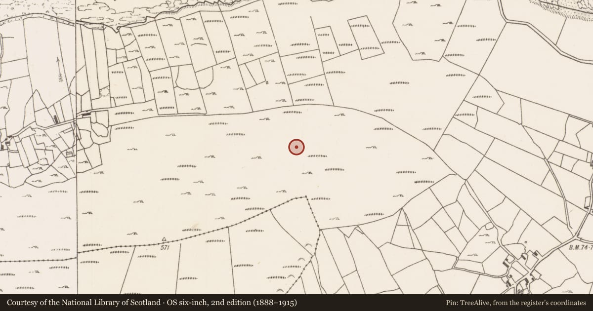 Ordnance Survey six-inch map, 2nd edition (1888–1915) covering the location of Field boundary, Carrowmore (Murrisk By., Kilgeever Par.), County Mayo, with a pin at the register's coordinates