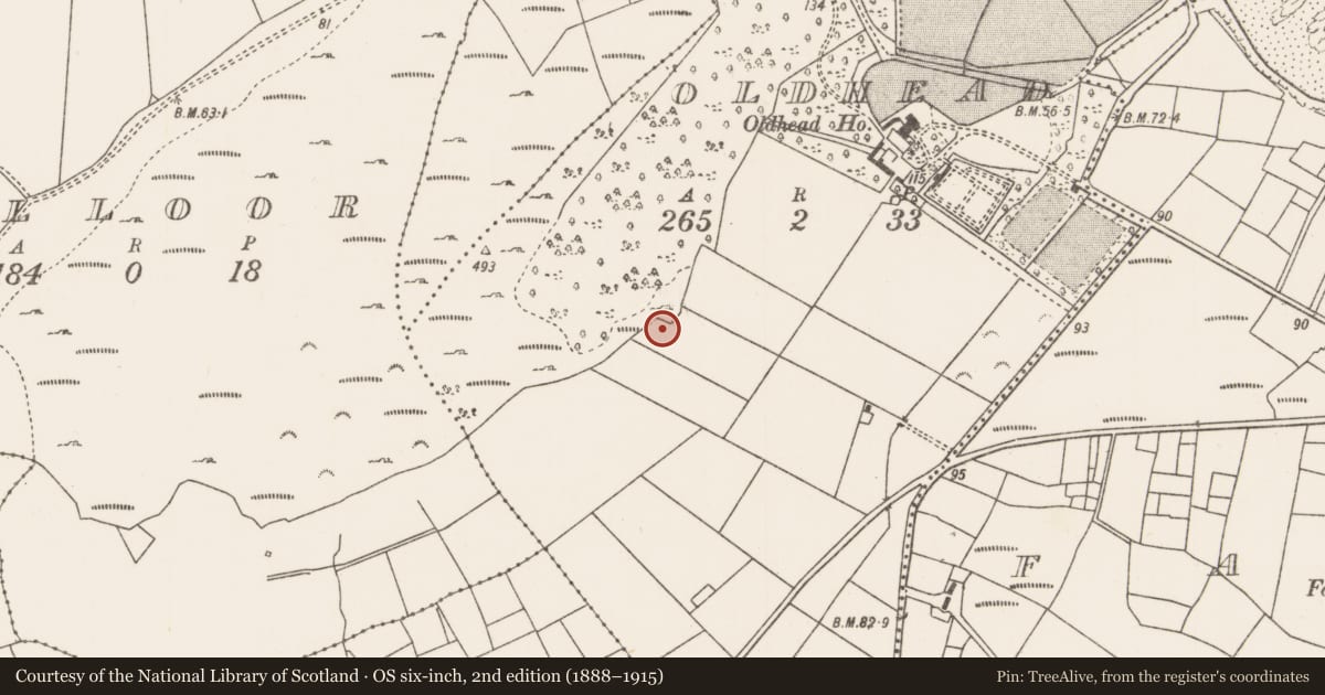 Ordnance Survey six-inch map, 2nd edition (1888–1915) covering the location of Burnt mound, Oldhead, County Mayo, with a pin at the register's coordinates