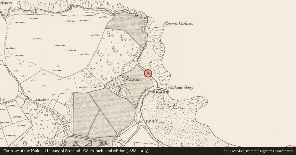 Ordnance Survey six-inch map, 2nd edition (1888–1915) covering the location of Midden, Oldhead, County Mayo, with a pin at the register's coordinates