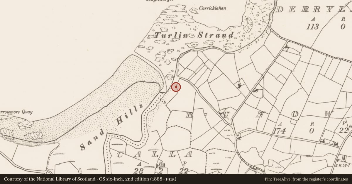 Ordnance Survey six-inch map, 2nd edition (1888–1915) covering the location of Slab-lined burial, Bunowen, County Mayo, with a pin at the register's coordinates
