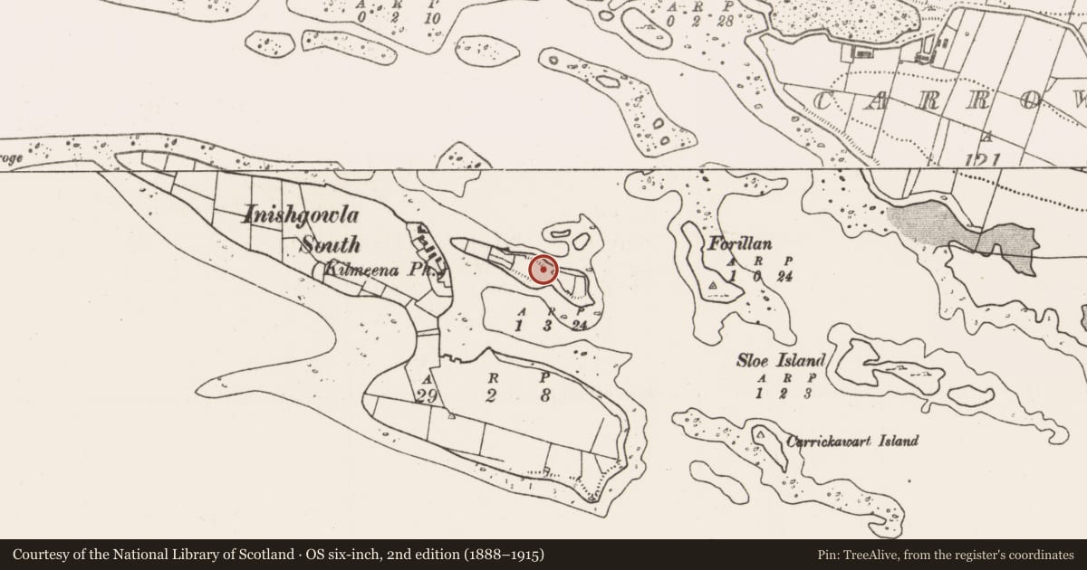 Ordnance Survey six-inch map, 2nd edition (1888–1915) covering the location of Enclosure, Westport Bay, County Mayo, with a pin at the register's coordinates