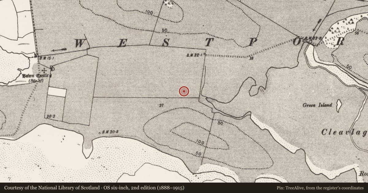 Ordnance Survey six-inch map, 2nd edition (1888–1915) covering the location of Enclosure, Westport Demesne, County Mayo, with a pin at the register's coordinates