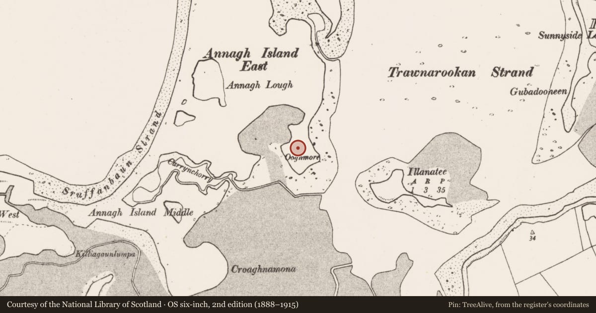 Ordnance Survey six-inch map, 2nd edition (1888–1915) covering the location of Enclosure, Killadangan, County Mayo, with a pin at the register's coordinates
