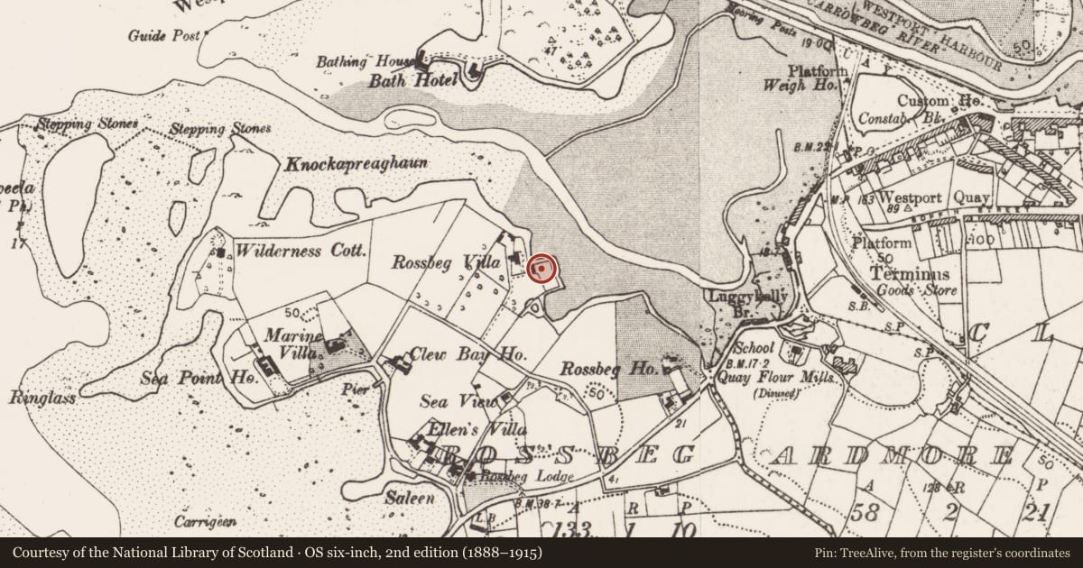 Ordnance Survey six-inch map, 2nd edition (1888–1915) covering the location of Salt works, Rossbeg, County Mayo, with a pin at the register's coordinates