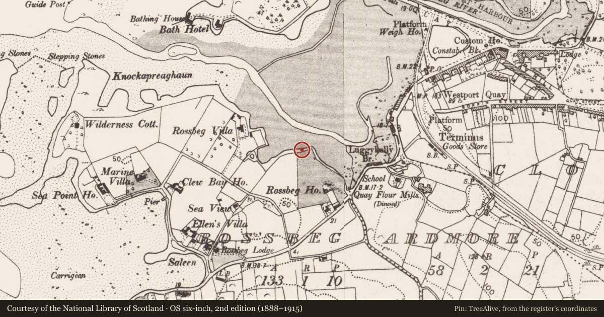 Ordnance Survey six-inch map, 2nd edition (1888–1915) covering the location of Salt works, Rossbeg, County Mayo, with a pin at the register's coordinates