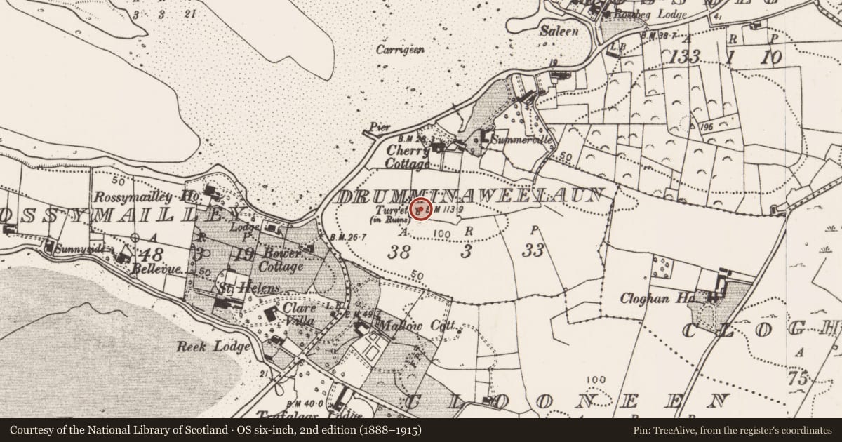 Ordnance Survey six-inch map, 2nd edition (1888–1915) covering the location of Designed landscape - belvedere, Drumminaweelaun, County Mayo, with a pin at the register's coordinates