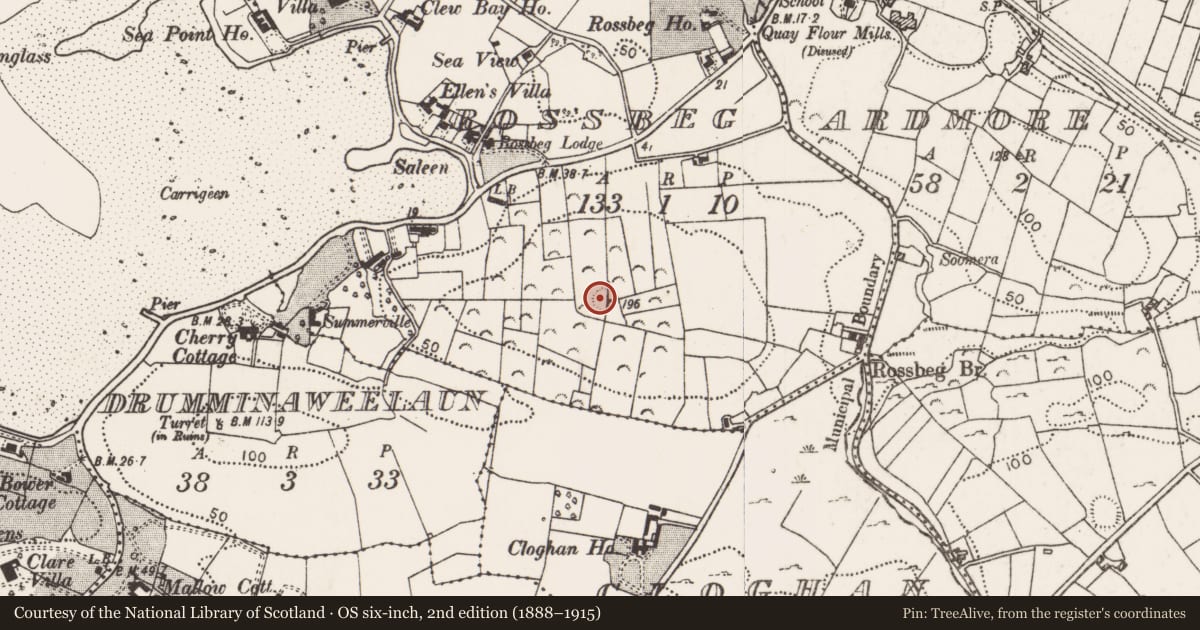 Ordnance Survey six-inch map, 2nd edition (1888–1915) covering the location of Ringfort - rath, Rossbeg, County Mayo, with a pin at the register's coordinates