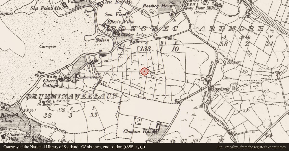 Ordnance Survey six-inch map, 2nd edition (1888–1915) covering the location of Souterrain, Rossbeg, County Mayo, with a pin at the register's coordinates