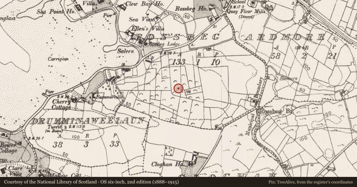 Ordnance Survey six-inch map, 2nd edition (1888–1915) covering the location of Hut site, Rossbeg, County Mayo, with a pin at the register's coordinates