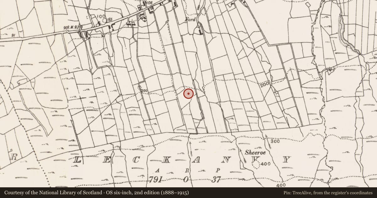 Ordnance Survey six-inch map, 2nd edition (1888–1915) covering the location of Ringfort - cashel, Leckanvy, County Mayo, with a pin at the register's coordinates