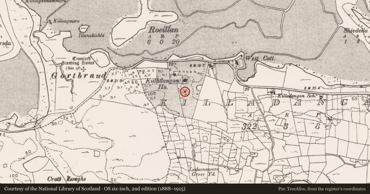 Ordnance Survey six-inch map, 2nd edition (1888–1915) covering the location of Ringfort - cashel, Killadangan, County Mayo, with a pin at the register's coordinates