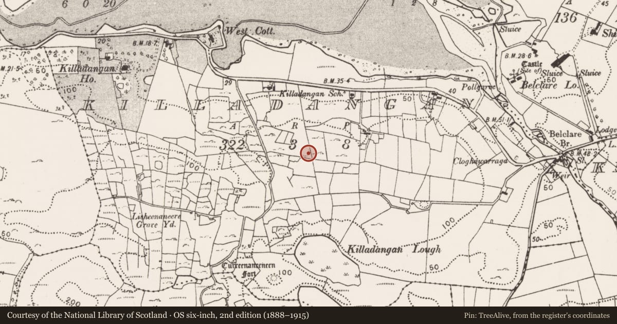 Ordnance Survey six-inch map, 2nd edition (1888–1915) covering the location of Ringfort - cashel, Killadangan, County Mayo, with a pin at the register's coordinates