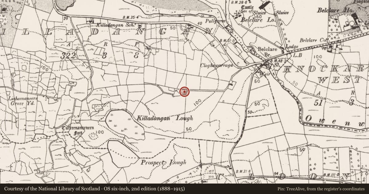 Ordnance Survey six-inch map, 2nd edition (1888–1915) covering the location of House - indeterminate date, Killadangan, County Mayo, with a pin at the register's coordinates