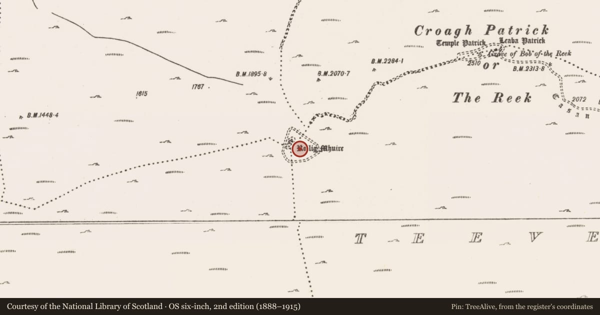 Ordnance Survey six-inch map, 2nd edition (1888–1915) covering the location of Enclosure, County Mayo, with a pin at the register's coordinates