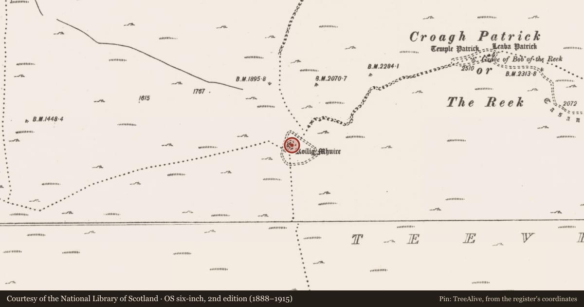Ordnance Survey six-inch map, 2nd edition (1888–1915) covering the location of Penitential station, Carrowmacloughlin, County Mayo, with a pin at the register's coordinates