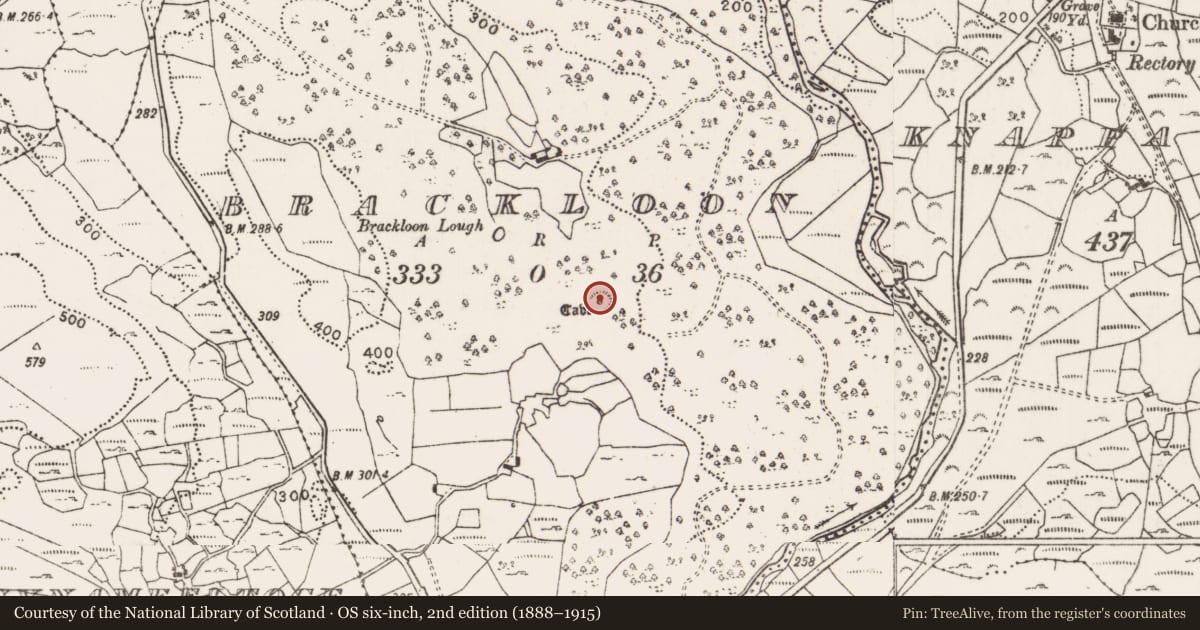 Ordnance Survey six-inch map, 2nd edition (1888–1915) covering the location of Ringfort - cashel, Brackloon, County Mayo, with a pin at the register's coordinates
