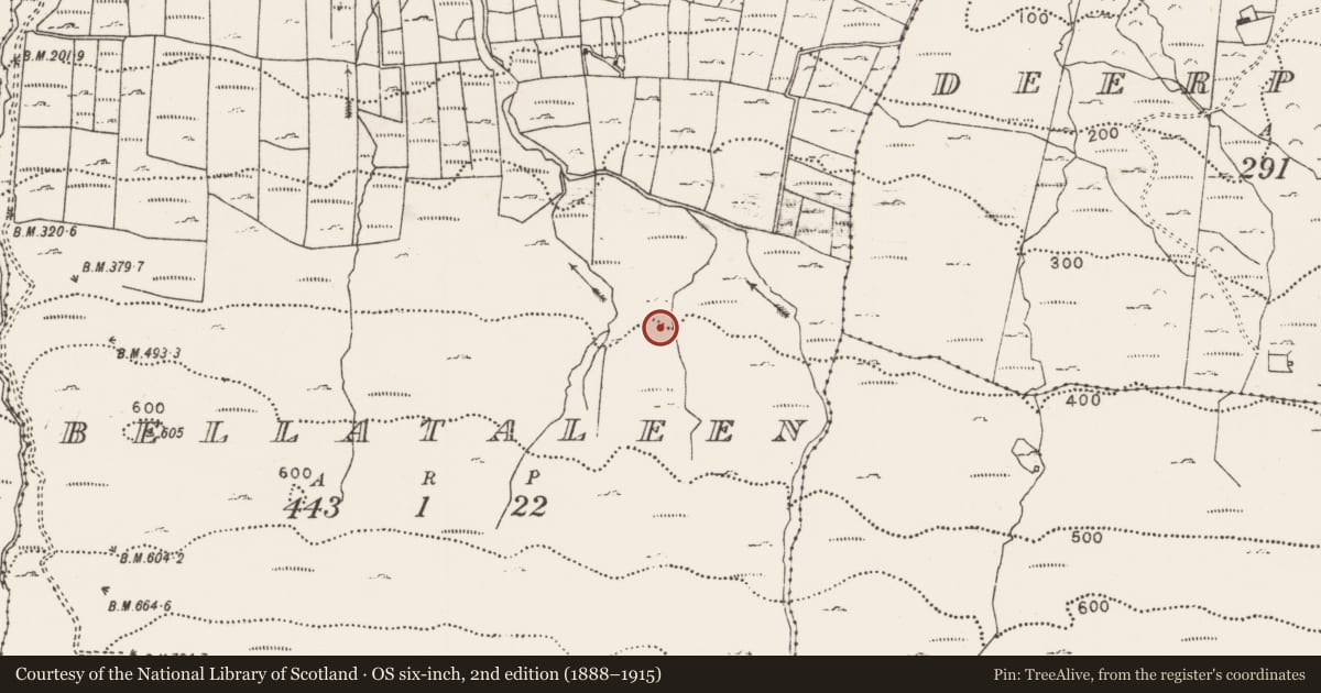 Ordnance Survey six-inch map, 2nd edition (1888–1915) covering the location of Enclosure, Bellataleen, County Mayo, with a pin at the register's coordinates