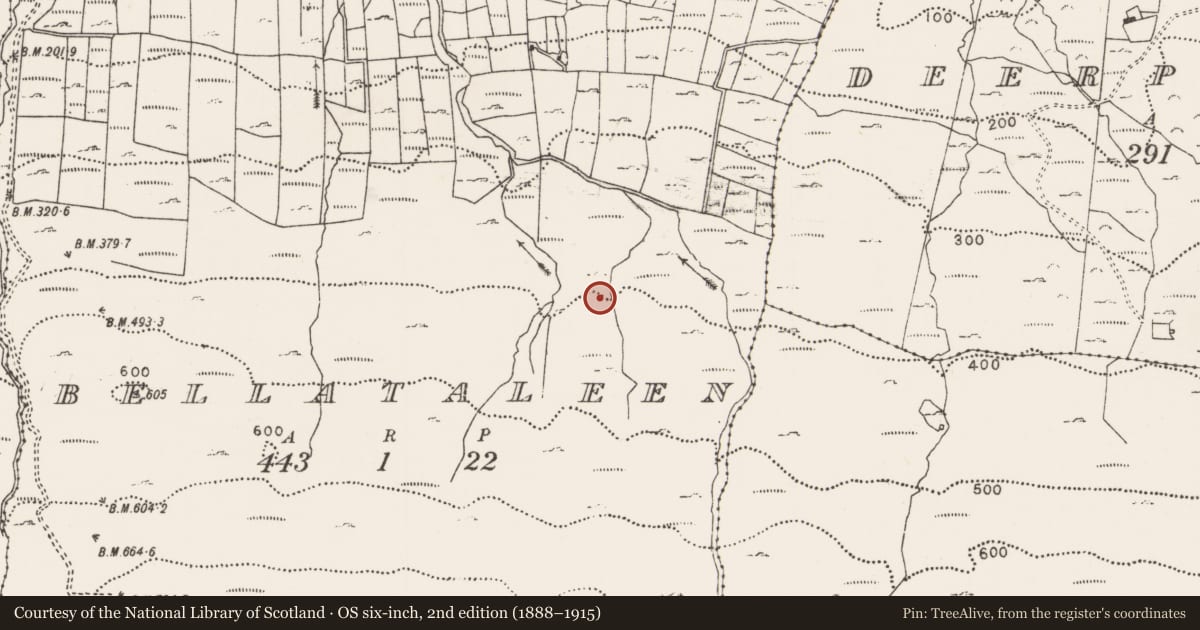 Ordnance Survey six-inch map, 2nd edition (1888–1915) covering the location of Hut site, Bellataleen, County Mayo, with a pin at the register's coordinates
