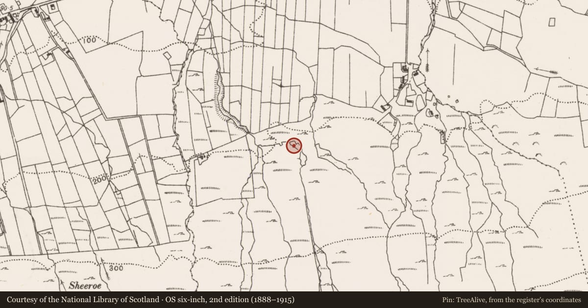 Ordnance Survey six-inch map, 2nd edition (1888–1915) covering the location of Enclosure, Carrowmacloughlin, County Mayo, with a pin at the register's coordinates