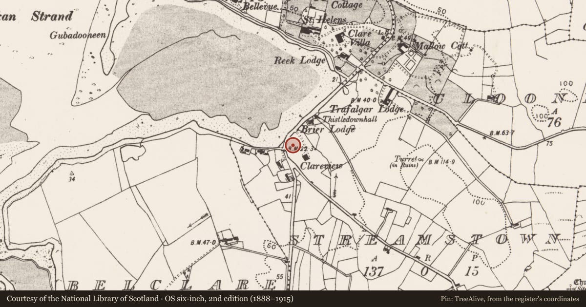 Ordnance Survey six-inch map, 2nd edition (1888–1915) covering the location of Mound, Streamstown, County Mayo, with a pin at the register's coordinates