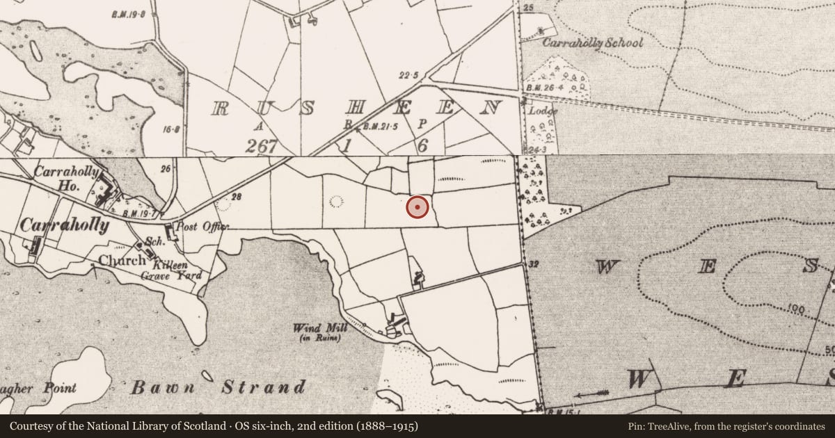 Ordnance Survey six-inch map, 2nd edition (1888–1915) covering the location of Standing stone - pair, Rusheen, County Mayo, with a pin at the register's coordinates