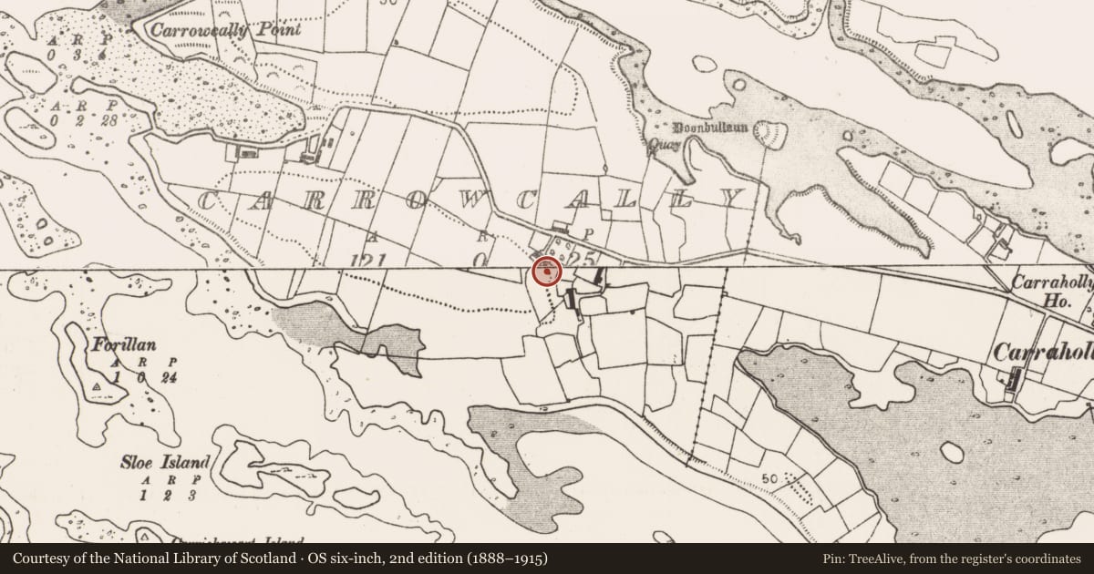 Ordnance Survey six-inch map, 2nd edition (1888–1915) covering the location of Ringfort - rath, Carrowcally, County Mayo, with a pin at the register's coordinates