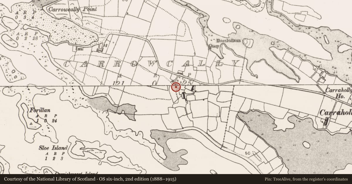 Ordnance Survey six-inch map, 2nd edition (1888–1915) covering the location of Burial ground, Carrowcally, County Mayo, with a pin at the register's coordinates